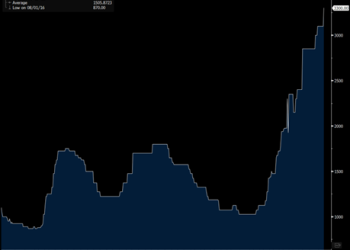 Primary Vision Insights – Premium Subscribers