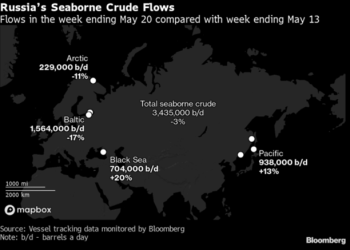 Primary Vision Insights – Premium Subscribers