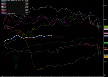 Primary Vision Insights – Premium Subscribers