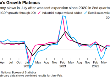China’s Economic Woes Getting Worse – Premium Subscribers