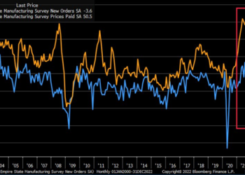 Primary Vision Insights – Premium Subscribers