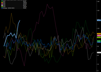 Primary Vision Insights – Premium Subscribers