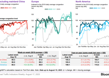 Primary Vision Insights – Premium Subscribers