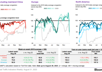 Primary Vision Insights – Premium Subscribers
