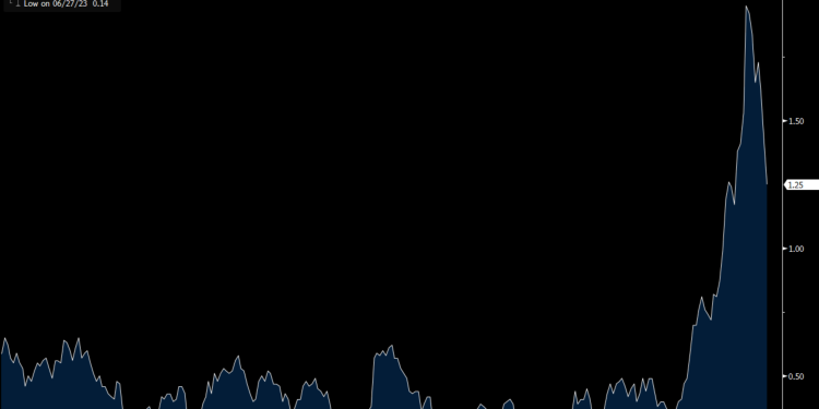 Primary Vision Insights – Premium Subscribers