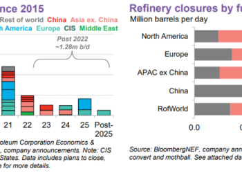 Primary Vision Insights – Premium Subscribers