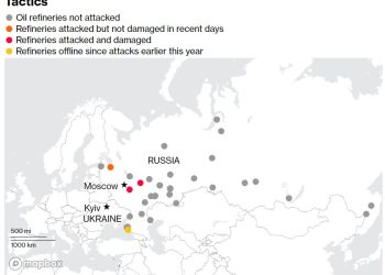 Primary Vision Insights – Enterprise Subscribers