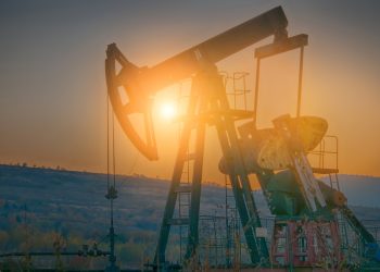 Primary Vision Insights – Enterprise Subscribers