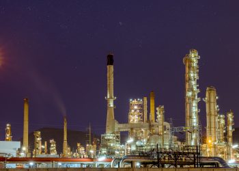 Primary Vision Insights – Enterprise Subscribers