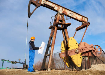 Primary Vision Insights – Enterprise Subscribers