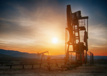 Primary Vision Insights – Enterprise Subscribers