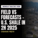 Monday Macro View: Field vs Forecasts – U.S. shale in 2H 2025
